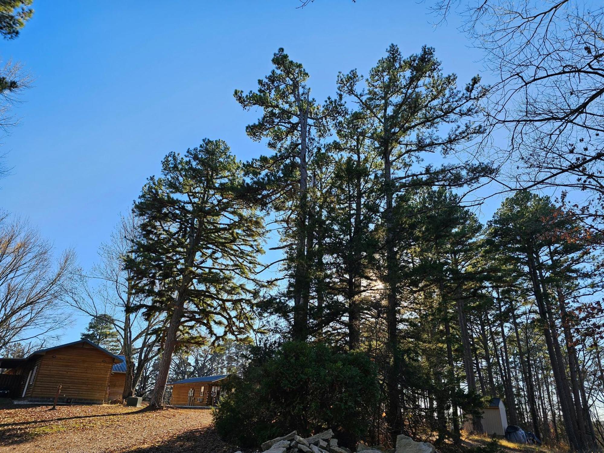 5 Min To Beaver Lake-King Bed-Fire Pit-Jetted Tub #4 Юрика-Спрінгс Екстер'єр фото